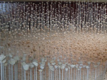 Chateaux de la Loire Noel 2017 341