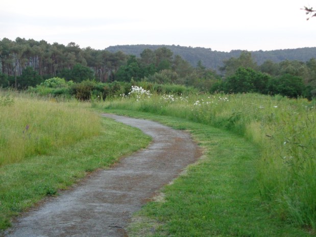 Et maintenant?… Il faut vraiment s&rsquo;occuper de notre magnifique planète… Et c&rsquo;est&nbsp;urgent!…