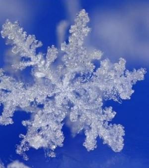 Flocon De Neige Baccarat - Décoration En Cristal, Forme Neige, Neuf