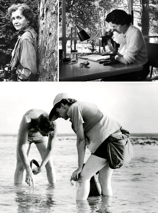 18f5c1f9c31dfd9045d762d7b48adef9